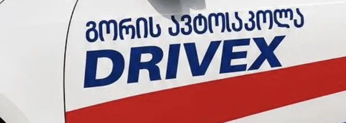 დრაივექსი / DriveX logo